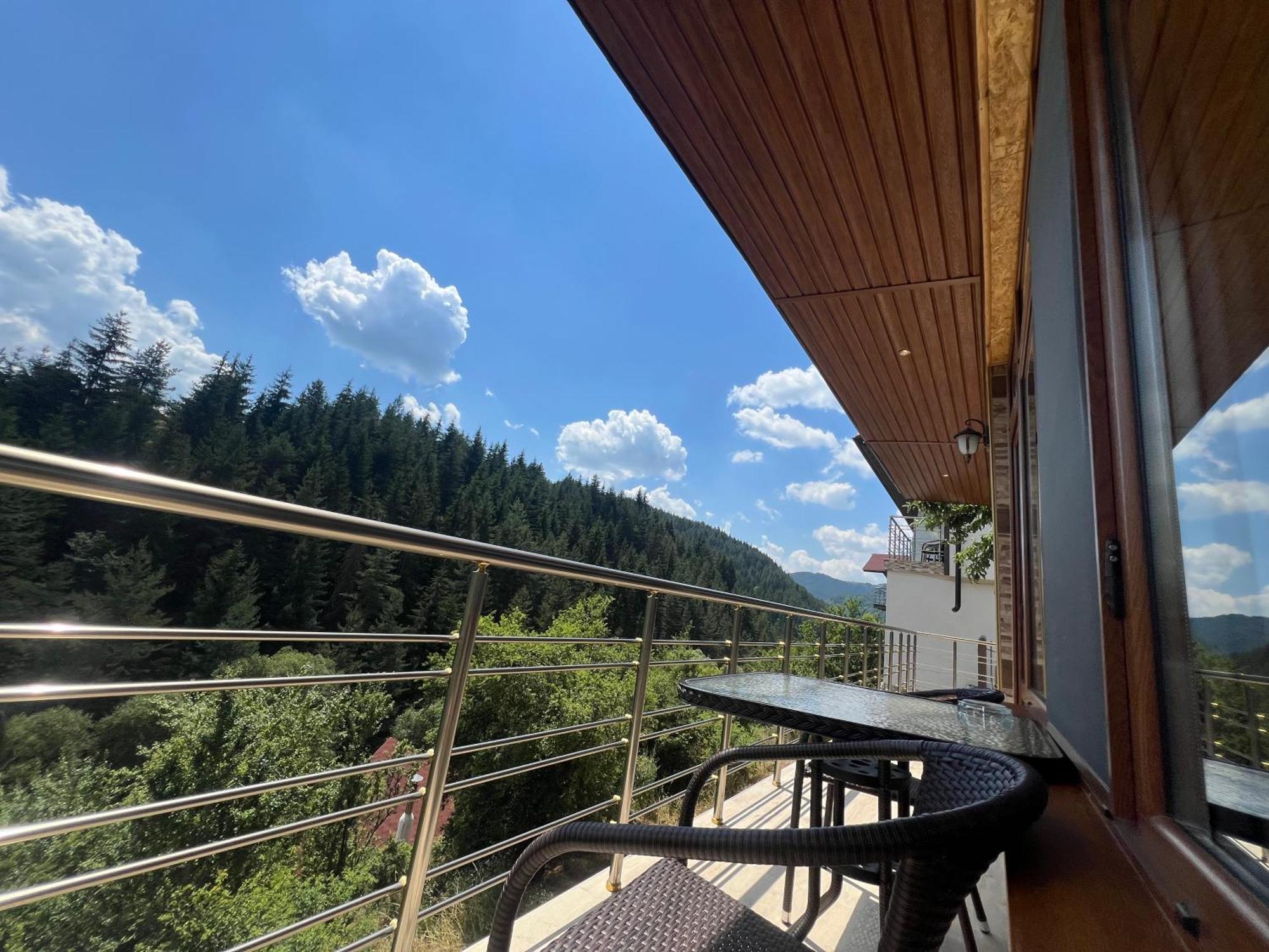 Guest House Milka Jagodina Rum bild