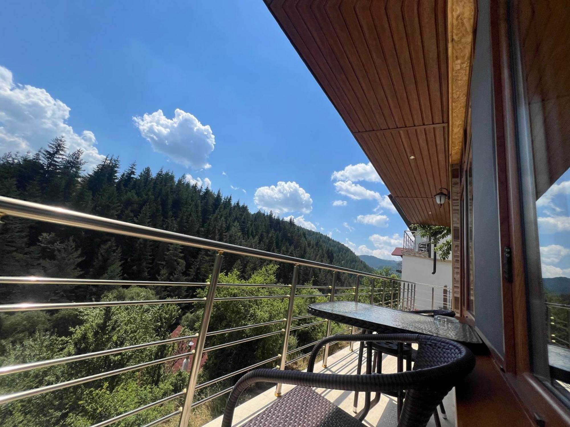 Guest House Milka Jagodina Rum bild
