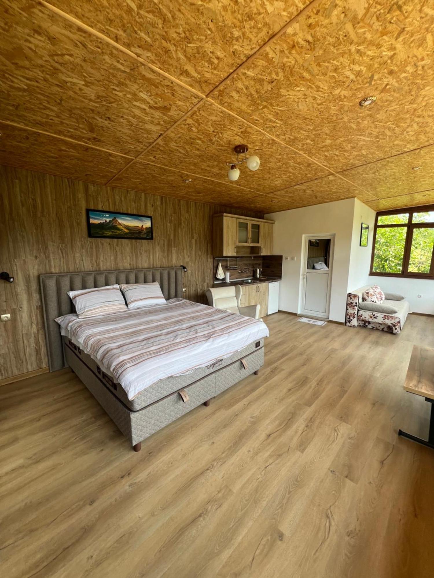 Guest House Milka Jagodina Rum bild
